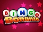 Bingo Bonanza